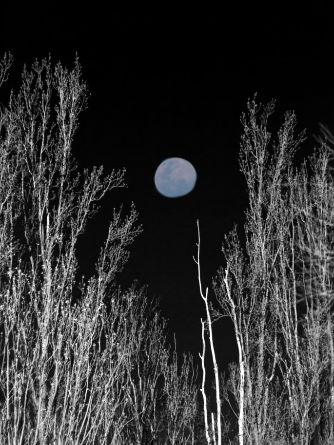 Blue moon